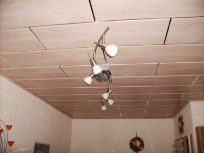 Panele mit Spiegelfeder